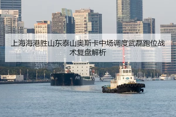shang-hai-hai-gang-sheng-shan-dong-tai-shan-ao-si-ka-zhong-chang-diao-du-wu-lei-pao-wei-zhan-shu-fu-pan-jie-xi-2-379.jpg