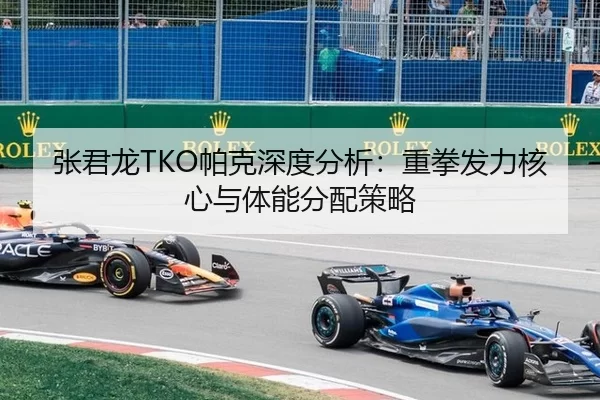 张君龙TKO帕克深度分析：重拳发力核心与体能分配策略